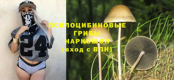 крисы Медногорск