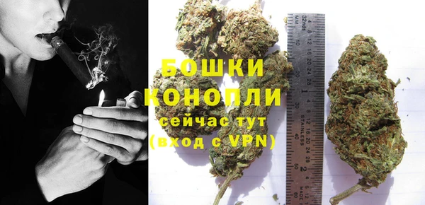 крисы Медногорск