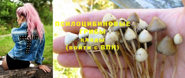 крисы Медногорск