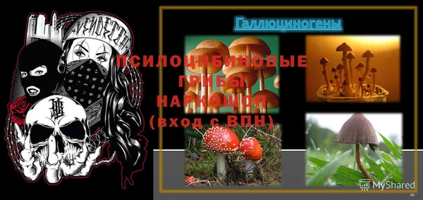 крисы Медногорск