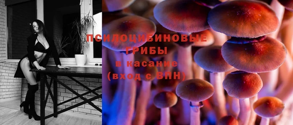 СК Мегион
