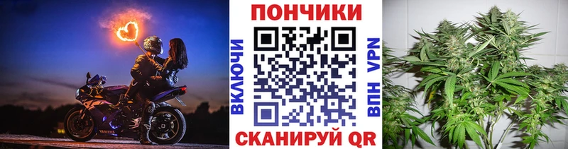 Бошки Шишки конопля купить цена Мостовской